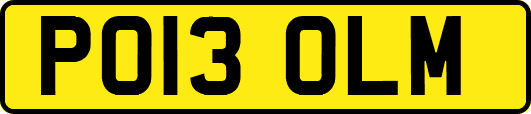 PO13OLM