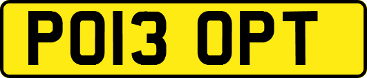 PO13OPT