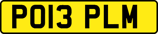 PO13PLM