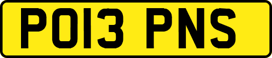 PO13PNS