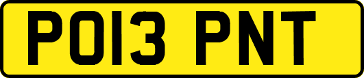 PO13PNT