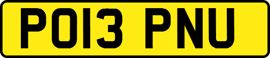 PO13PNU