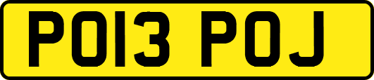 PO13POJ