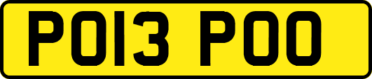 PO13POO