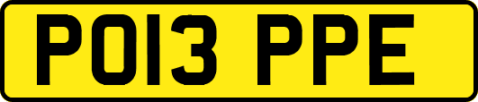 PO13PPE