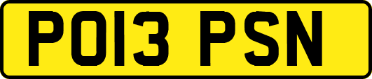 PO13PSN