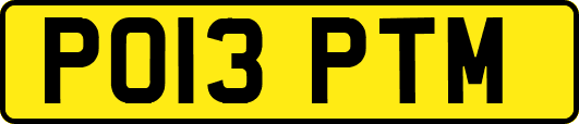 PO13PTM