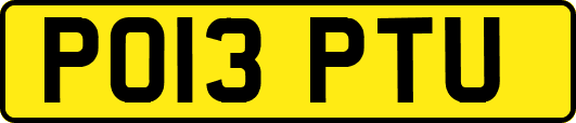 PO13PTU