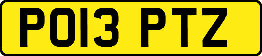 PO13PTZ