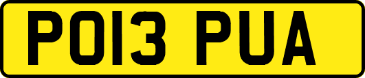 PO13PUA