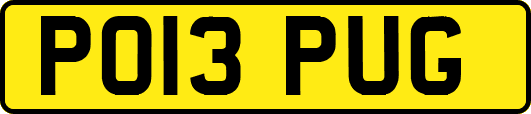 PO13PUG