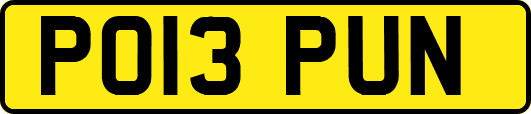 PO13PUN