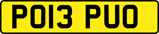 PO13PUO