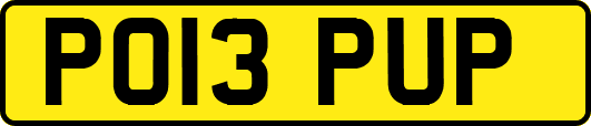 PO13PUP