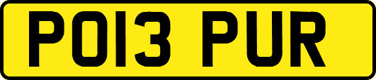 PO13PUR