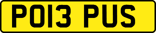 PO13PUS
