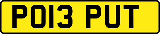 PO13PUT