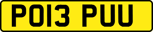 PO13PUU