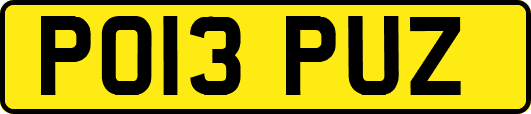 PO13PUZ