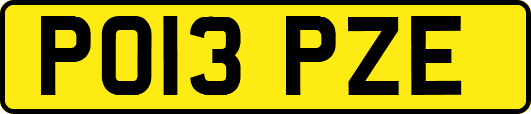 PO13PZE