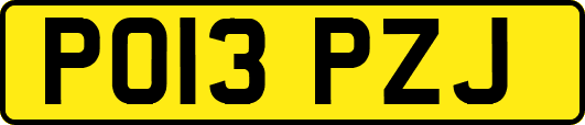 PO13PZJ