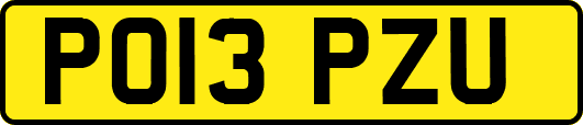 PO13PZU