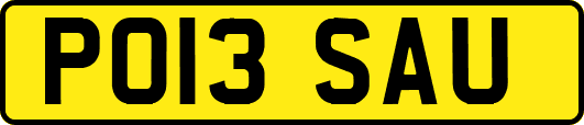 PO13SAU