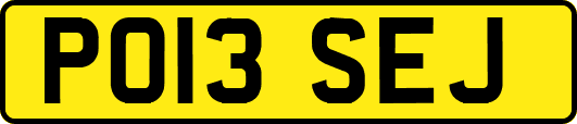 PO13SEJ