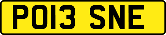 PO13SNE