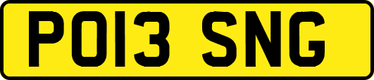PO13SNG