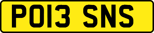 PO13SNS