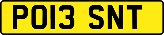 PO13SNT