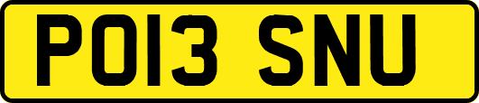 PO13SNU