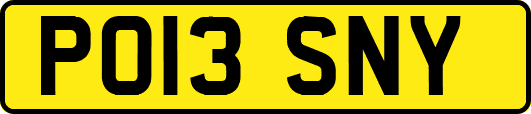 PO13SNY