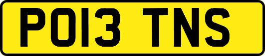 PO13TNS