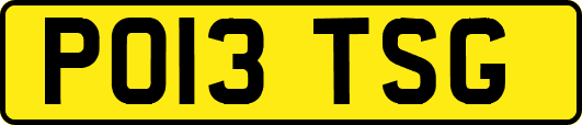PO13TSG
