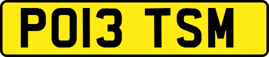 PO13TSM