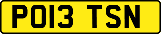 PO13TSN