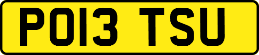 PO13TSU
