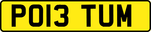 PO13TUM