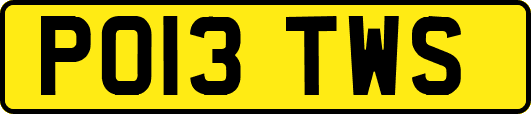 PO13TWS