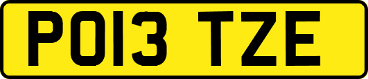 PO13TZE