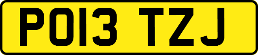PO13TZJ