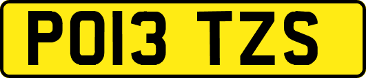 PO13TZS