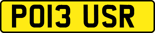 PO13USR
