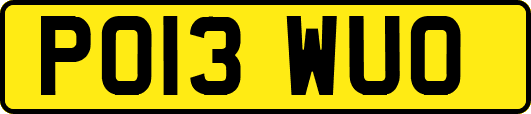 PO13WUO