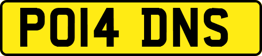 PO14DNS