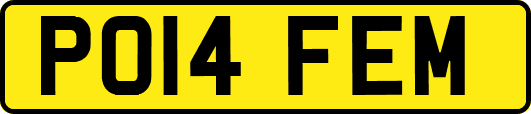PO14FEM