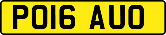PO16AUO