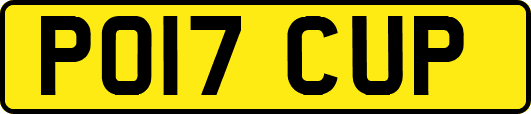 PO17CUP